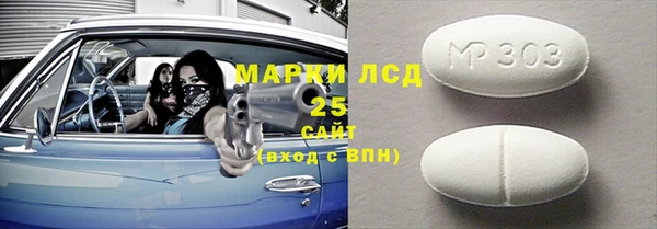 прущие грибы Майский